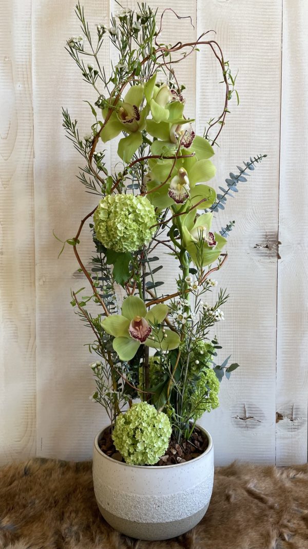 Arrangement piqué en hauteur