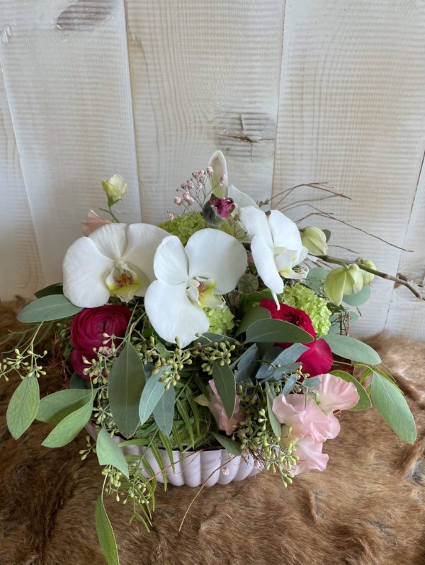 Arrangement piqué rond