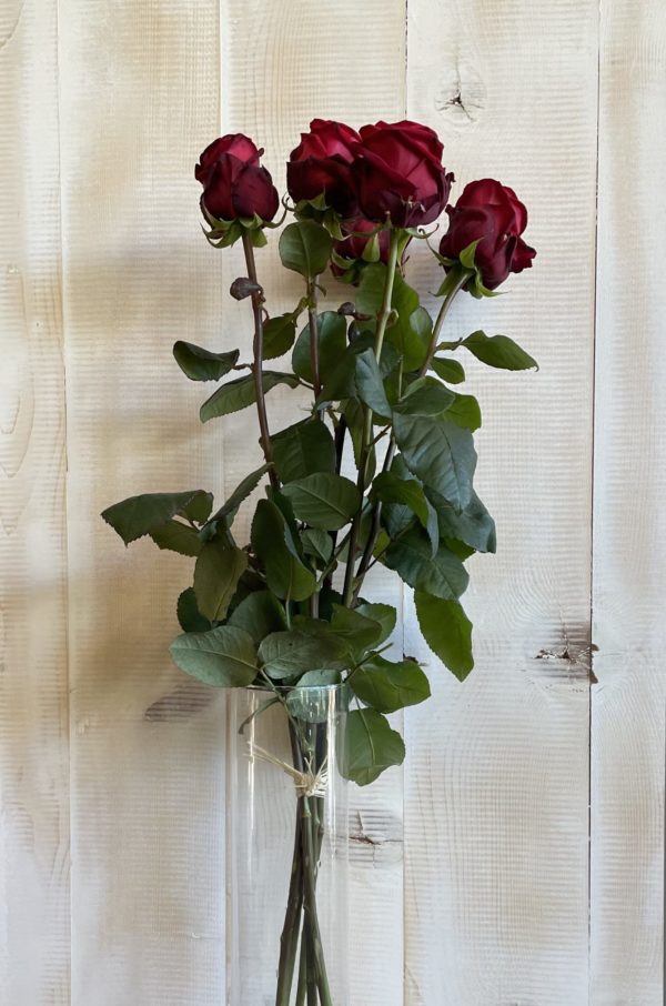 Bouquet de rose 80cm rouges ou blanches