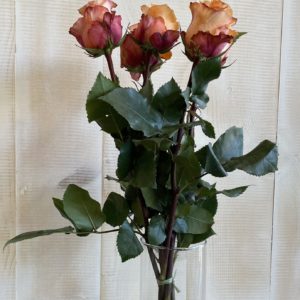 Bouquet de roses 60cm orange ou rose