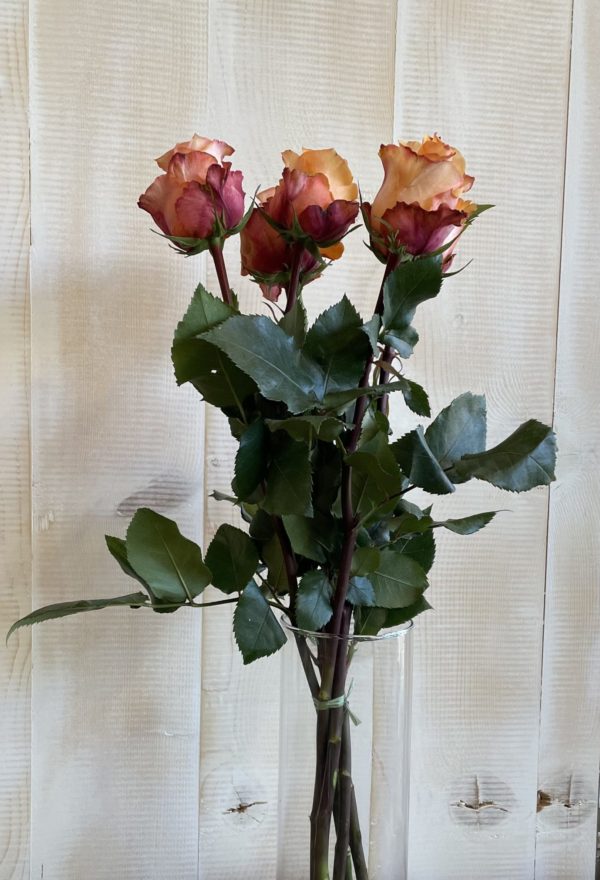 Bouquet de roses 60cm orange ou rose