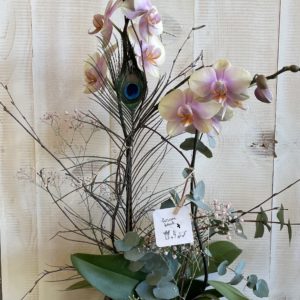 Orchidée décorée