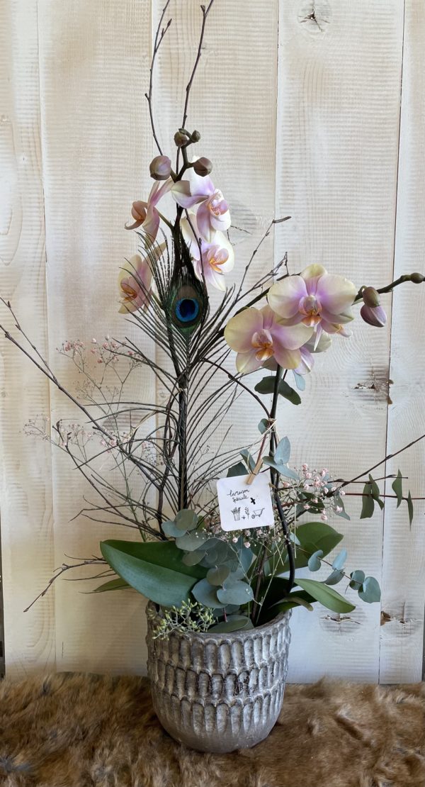 Orchidée décorée