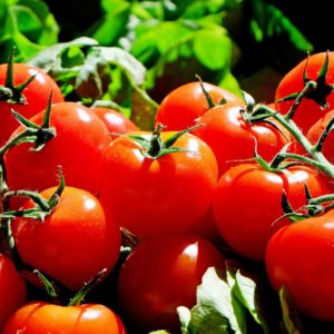 Tomates